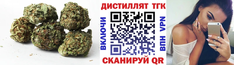 купить   Качканар  KRAKEN ТОР  ТГК гашишное масло 