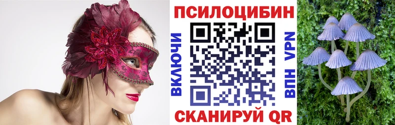 Псилоцибиновые грибы GOLDEN TEACHER  гидра зеркало  Качканар 